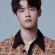 Liu Dongqin