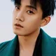 Fan Shiqi