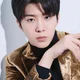 Fan Chengcheng
