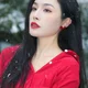 Lin Wenjie